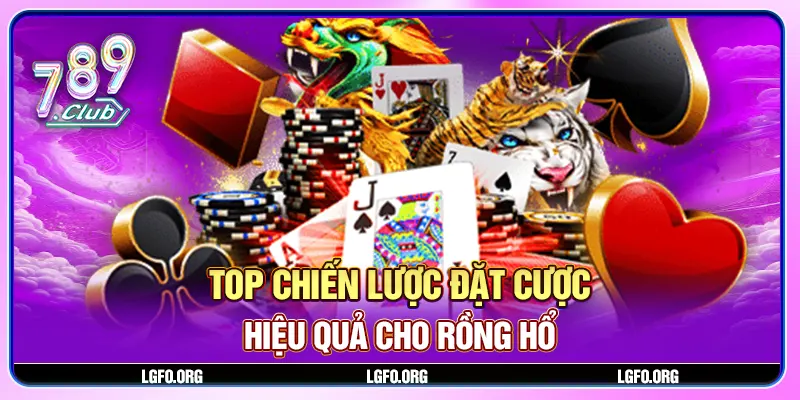 Top chiến lược đặt cược hiệu quả cho Rồng Hổ